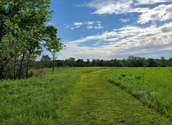 illinois/prairie-state/attraction/sand-creek-conservation-area