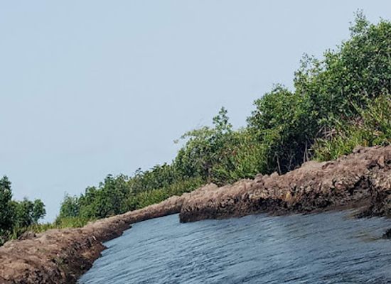 togo/plateaux-region/attraction/keta-lagoon-protected-area