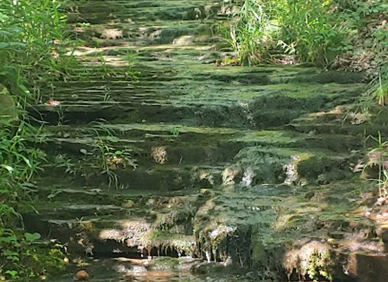 arkansas/mount-magazine-state-park/attraction/mount-magazine-waterfalls