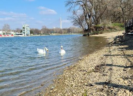 serbia/belgrade/attraction/ada-ciganlija