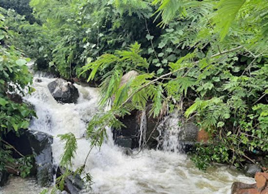 india/uttar-pradesh/attraction/n-u-khan