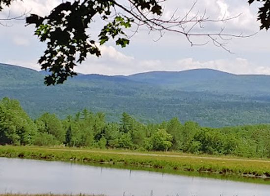 vermont/molly-falls-state-park/attraction/virginia-stranahan-memorial-town-forest