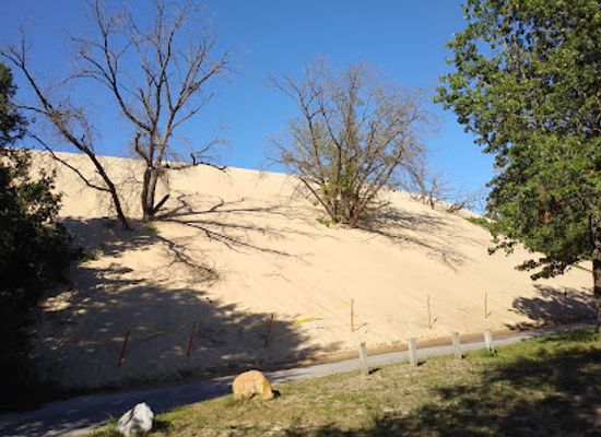 indiana/the-dunes/attraction/indiana-dunes-national-park-mount-baldy
