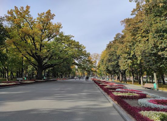 ukraine/vysokyi-verkh/attraction/shevchenko-city-garden