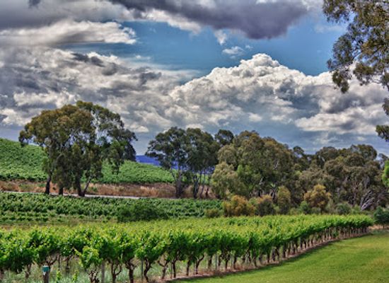 australia/barossa-valley/attraction/lambert-estate-wines