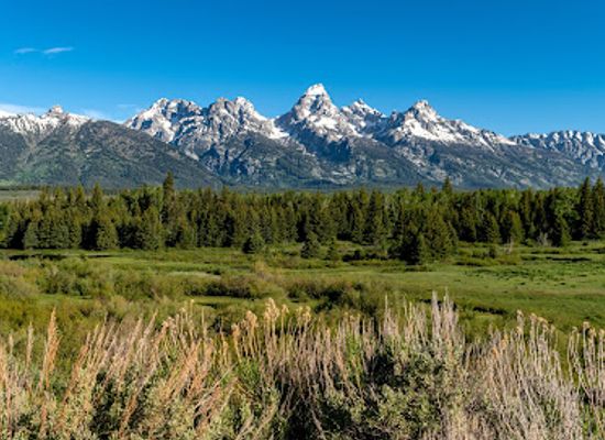 wyoming/bridger-teton-national-forest/attraction/blacktail-ponds-overlook