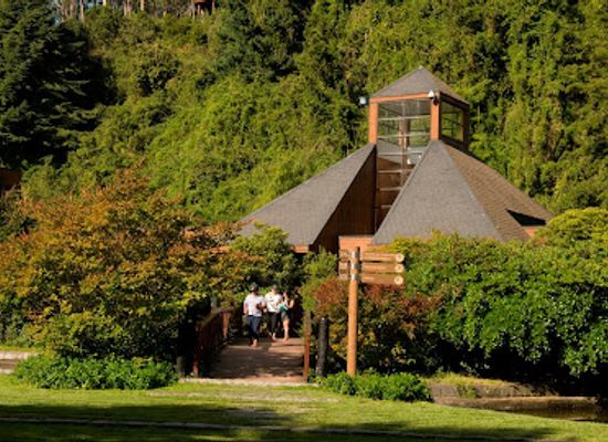 chile/biobio-region/attraction/parque-jorge-alessandri