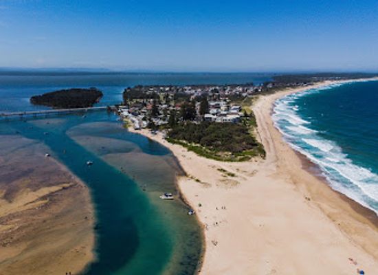 australia/central-coast/attraction/pelican-time-with-marine-wildlife-rescue-central-coast