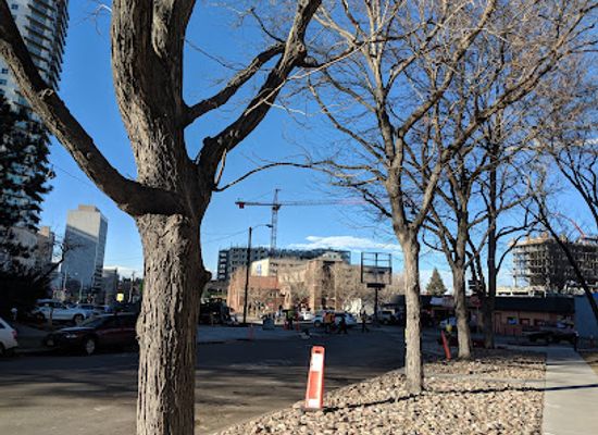 colorado/denver/five-points/attraction/benedict-fountain-park