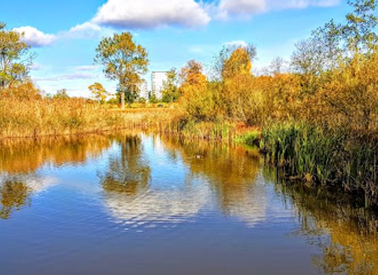 sweden/linkoping/attraction/smedstad-dams