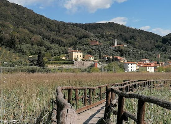 italy/versilia/attraction/lipu-massaciuccoli