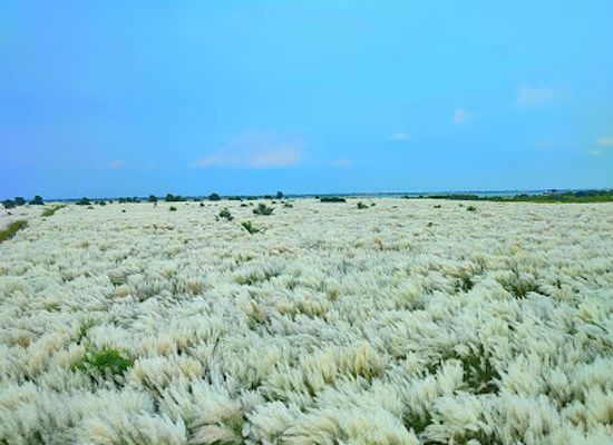 bangladesh/western-bengal/attraction/vatibandar-kashful-area