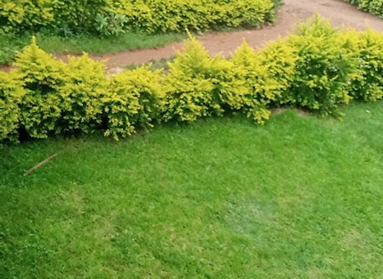 ghana/brong-ahafo/attraction/munufie-gardens