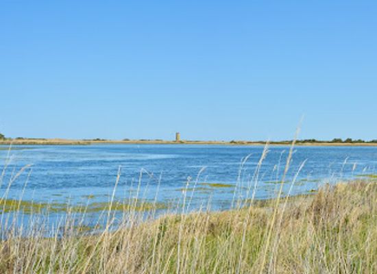 delaware/lewes/attraction/gordon-pond-wildlife-area