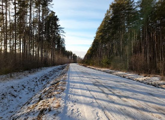 latvia/zemgale/attraction/burinu-mezs-garie-kalni-atputas-vieta