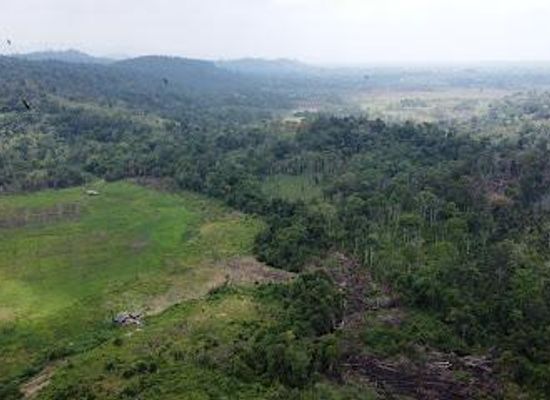laos/pakse/attraction/bolaven-plateau