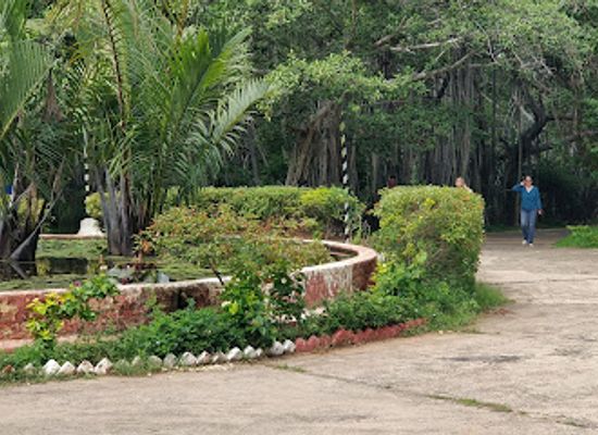 india/chennai/adyar/attraction/besant-gardens