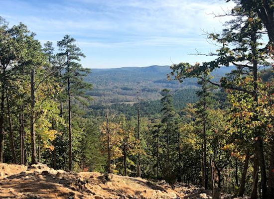 north-carolina/uwharrie-mountains/attraction/uwharrie-national-forest