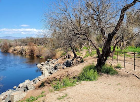arizona/tonto-national-forest/attraction/coon-bluff-recreation-area
