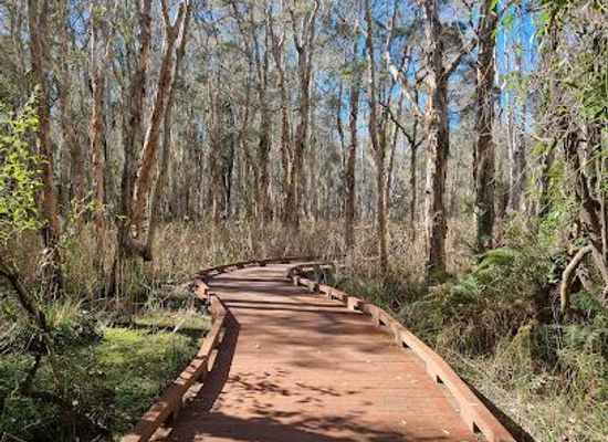 australia/northern-rivers/attraction/coombabah-lake-conservation-park