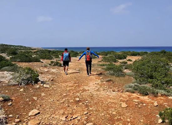 cyprus/akamas-peninsula-national-park/attraction/hill-view-by-bart