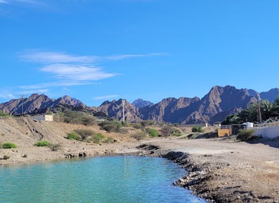 united-arab-emirates/hajar-mountains/attraction/hatta-swan-lake