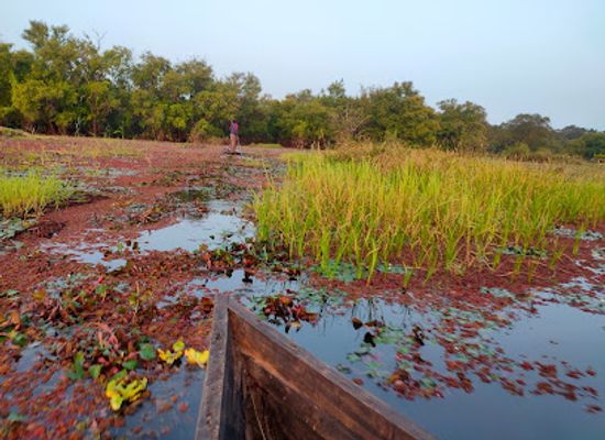 burkina-faso/hauts-bassins/attraction/mare-aux-hippopotames