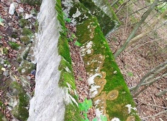 hungary/pilis-mountains/attraction/bukkos-patak-forrasa