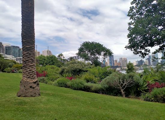 australia/sydney-basin/attraction/wendy-whiteley-s-secret-garden