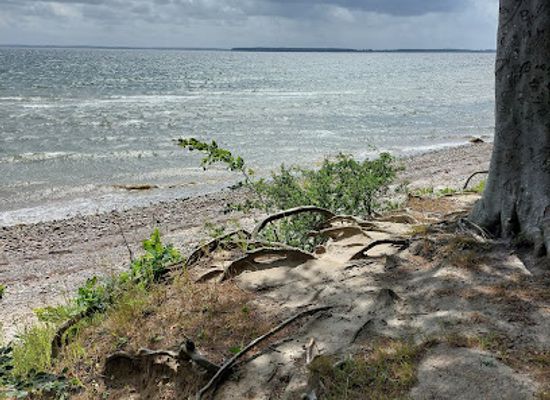 denmark/sonderborg/attraction/infotavle-gendarmstien-vemmingbund-horuphav