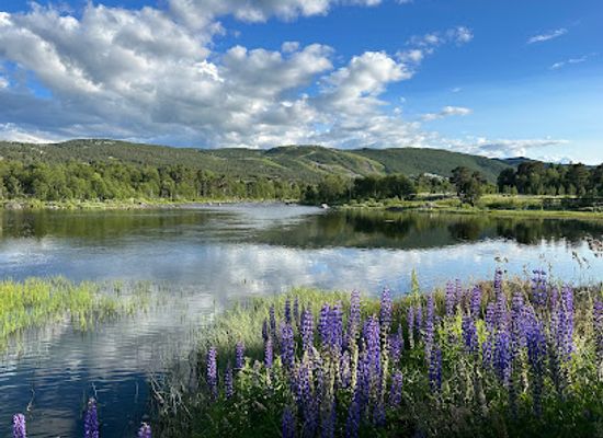 norway/geilo/attraction/slattaholen-fiskeplass