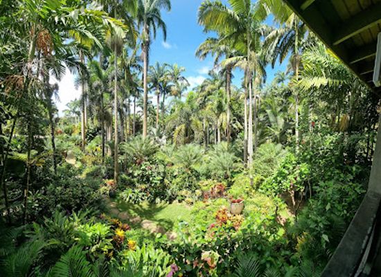 barbados/animal-flower-cave/attraction/hunte-s-gardens