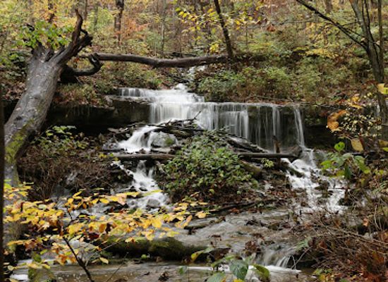 indiana/bloomington/attraction/leonard-springs-nature-park