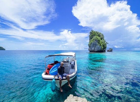 palau/ngeruangel/attraction/palau-7th-wonder-dive-tours