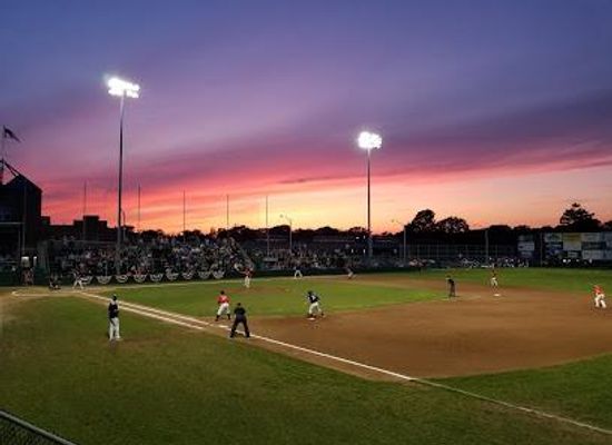 rhode-island/beavertail-state-park/attraction/cardines-field