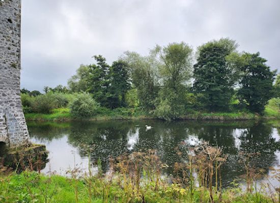 ireland/county-limerick/attraction/desmond-castle-adare