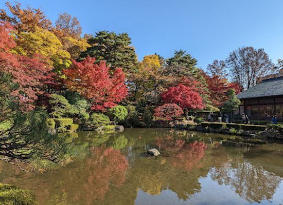 japan/tohoku/attraction/momiji-park