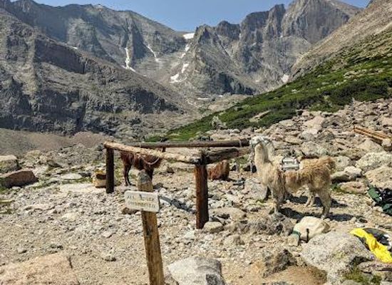 colorado/rocky-mountain-national-park/attraction/chasm-junction