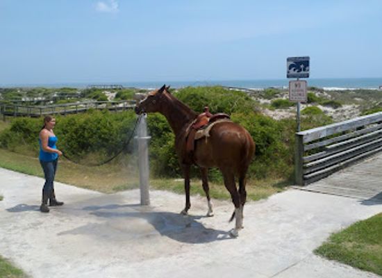 florida/amelia-island/attraction/peters-point-beachfront-park