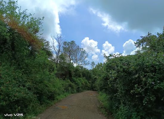 india/mahabaleshwar/attraction/karavi-ala