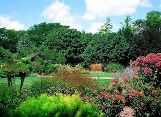 hawaii/maui/attraction/luthy-botanical-garden