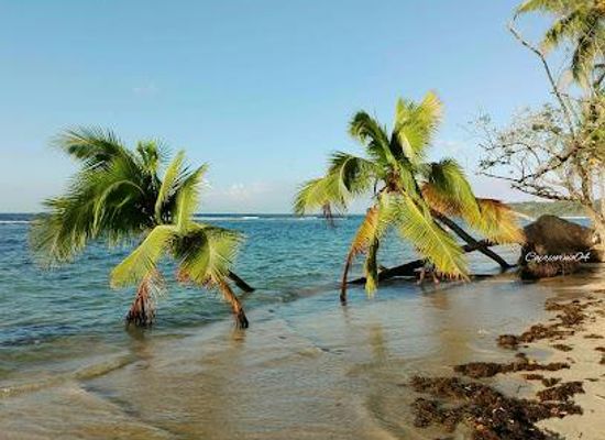 panama/bocas-del-toro/attraction/boca-del-drago