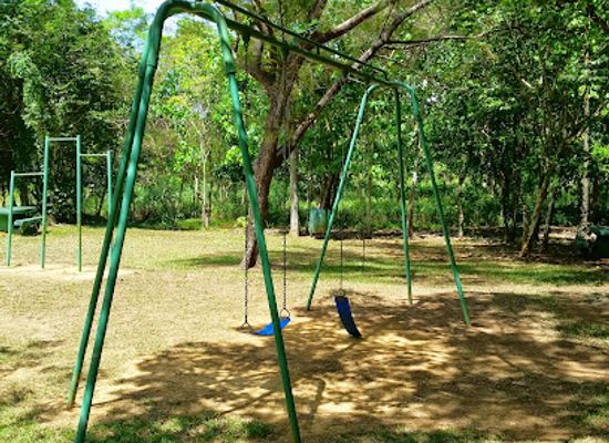 puerto-rico/arecibo-observatory/attraction/bosque-estatal-de-cambalache