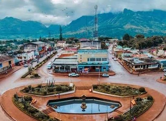 mozambique/chimanimani-mountains/attraction/mount-namuli