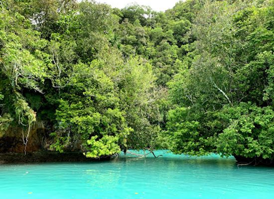 palau/angaur/attraction/milky-way