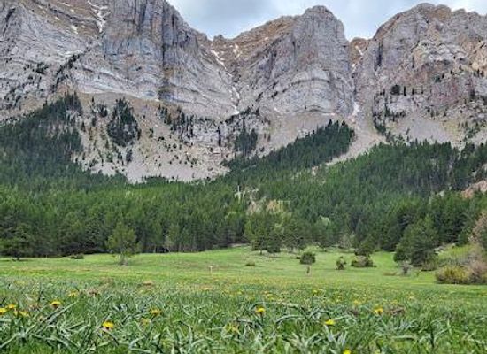 andorra/encamp/attraction/parc-natural-del-cadi-moixero
