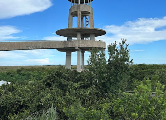 florida/everglades-national-park/attraction/shark-valley-tram-tours