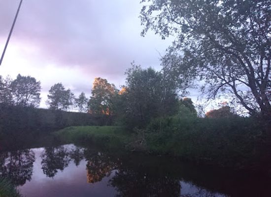 estonia/lahemaa/attraction/jaan-kruusi-kingu-talu