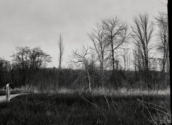 michigan/marquette/attraction/moosewood-nature-center
