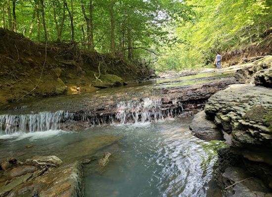 arkansas/ozark-national-forest/attraction/ozark-highlands-trail-ozone-trailhead